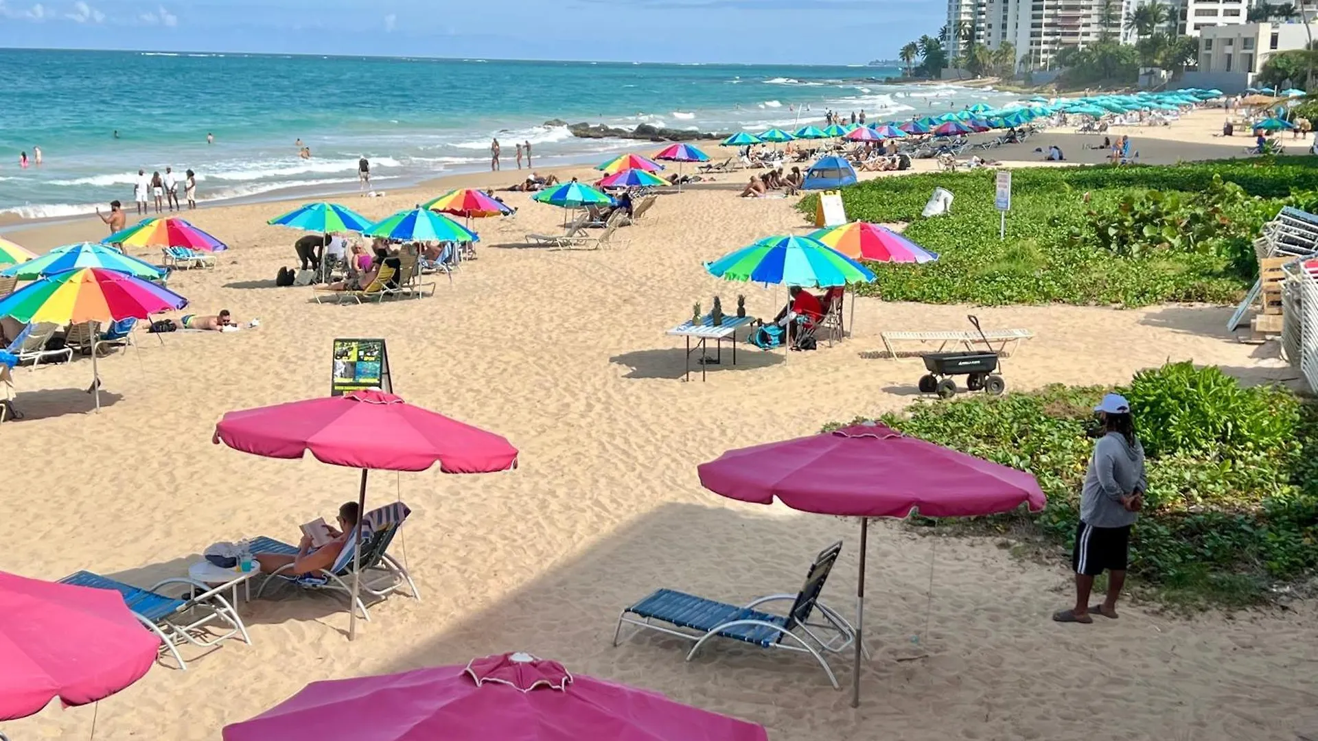 Condado Tropical Tantra Apartments サンジョアン