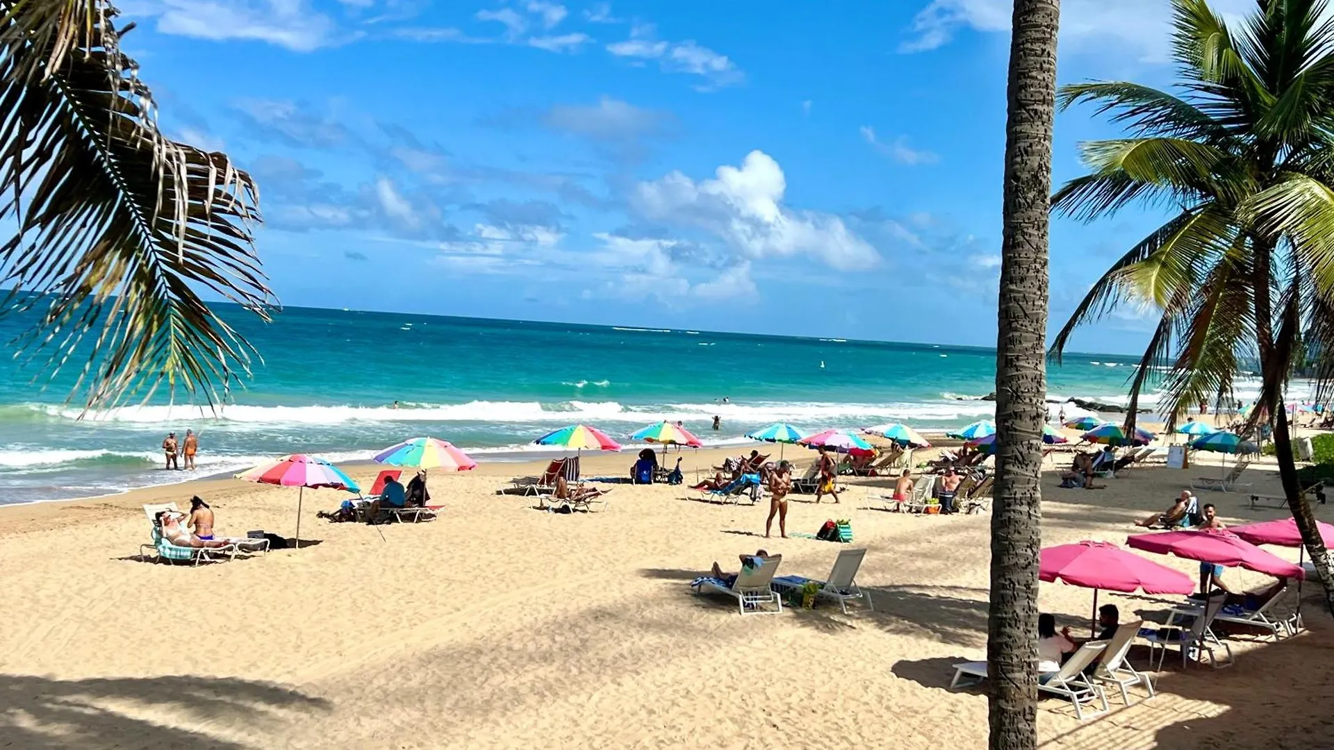 Condado Tropical Tantra Apartments サンジョアン